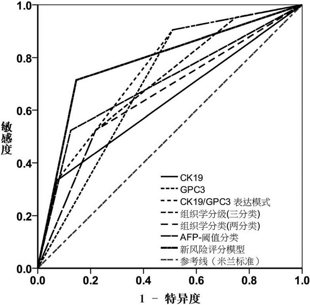 Method and system for grouping liver transplantation prognostic conditions for patient with hepatocellular carcinoma, and kit