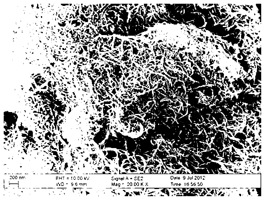 Negative pole of enzymatic biofuel cell as well as preparation method and application of negative pole