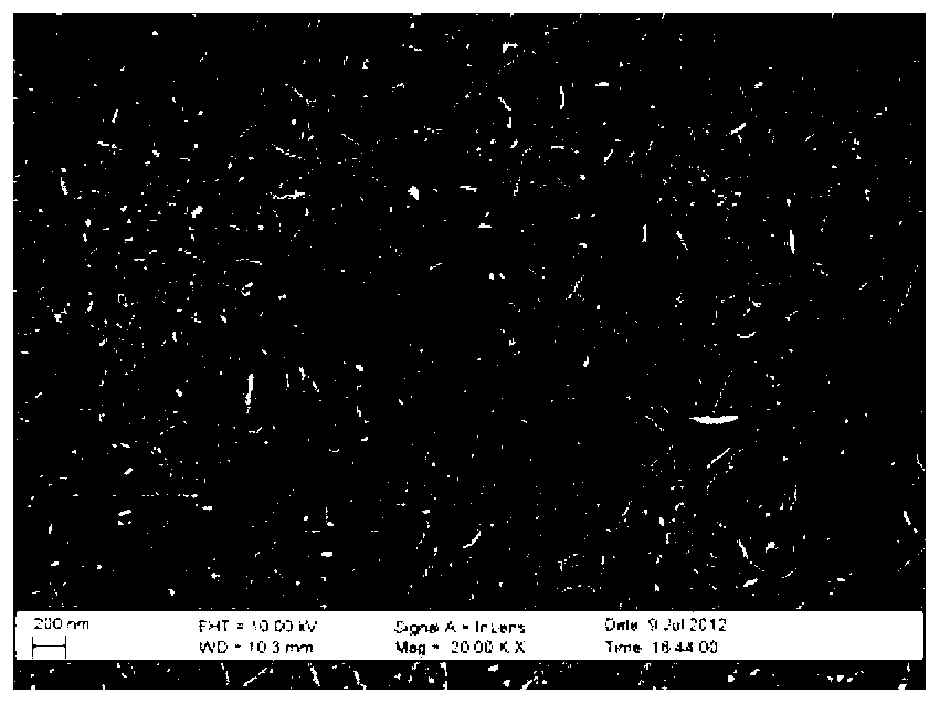 Negative pole of enzymatic biofuel cell as well as preparation method and application of negative pole