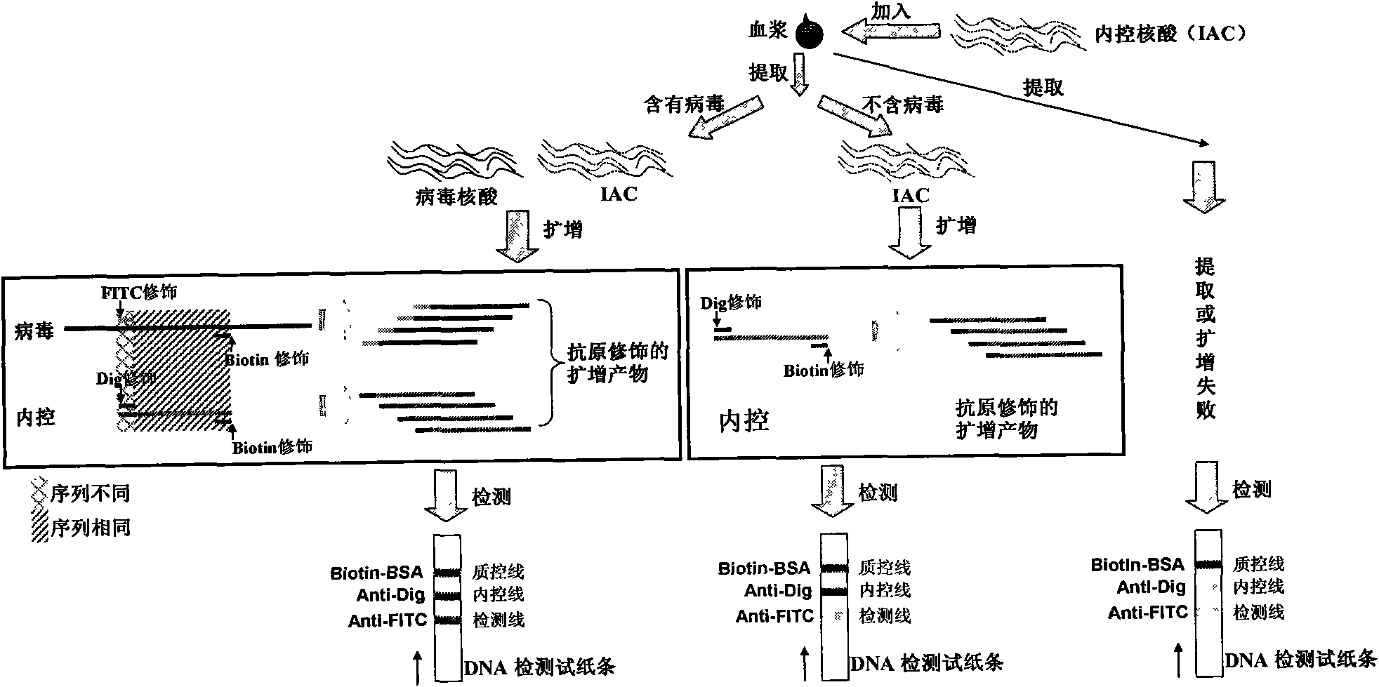 Method for semi-quantitatively detecting pathogenic nucleic acid by adding internal control nucleic acid