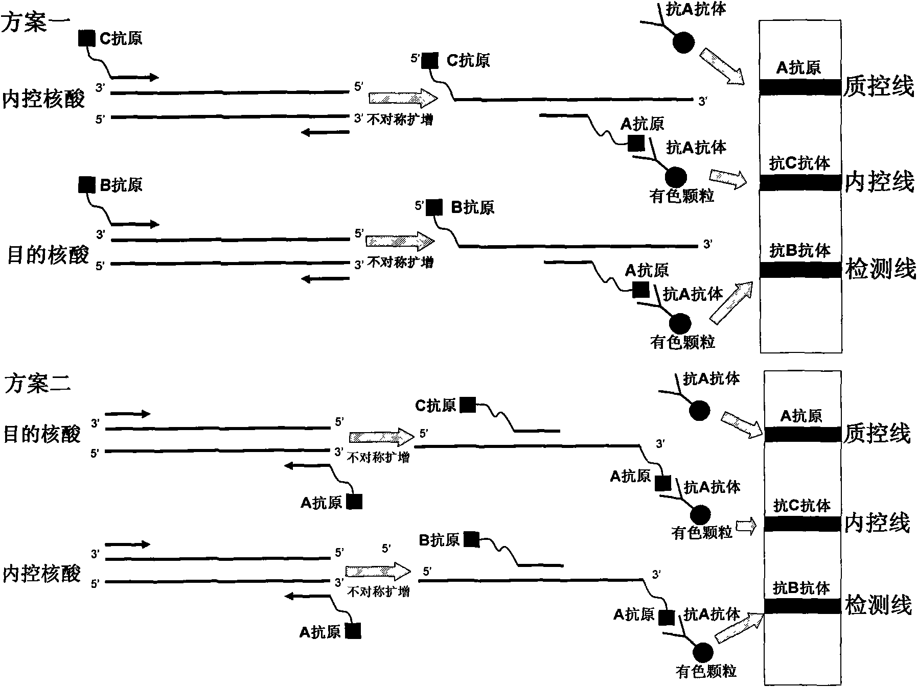 Method for semi-quantitatively detecting pathogenic nucleic acid by adding internal control nucleic acid