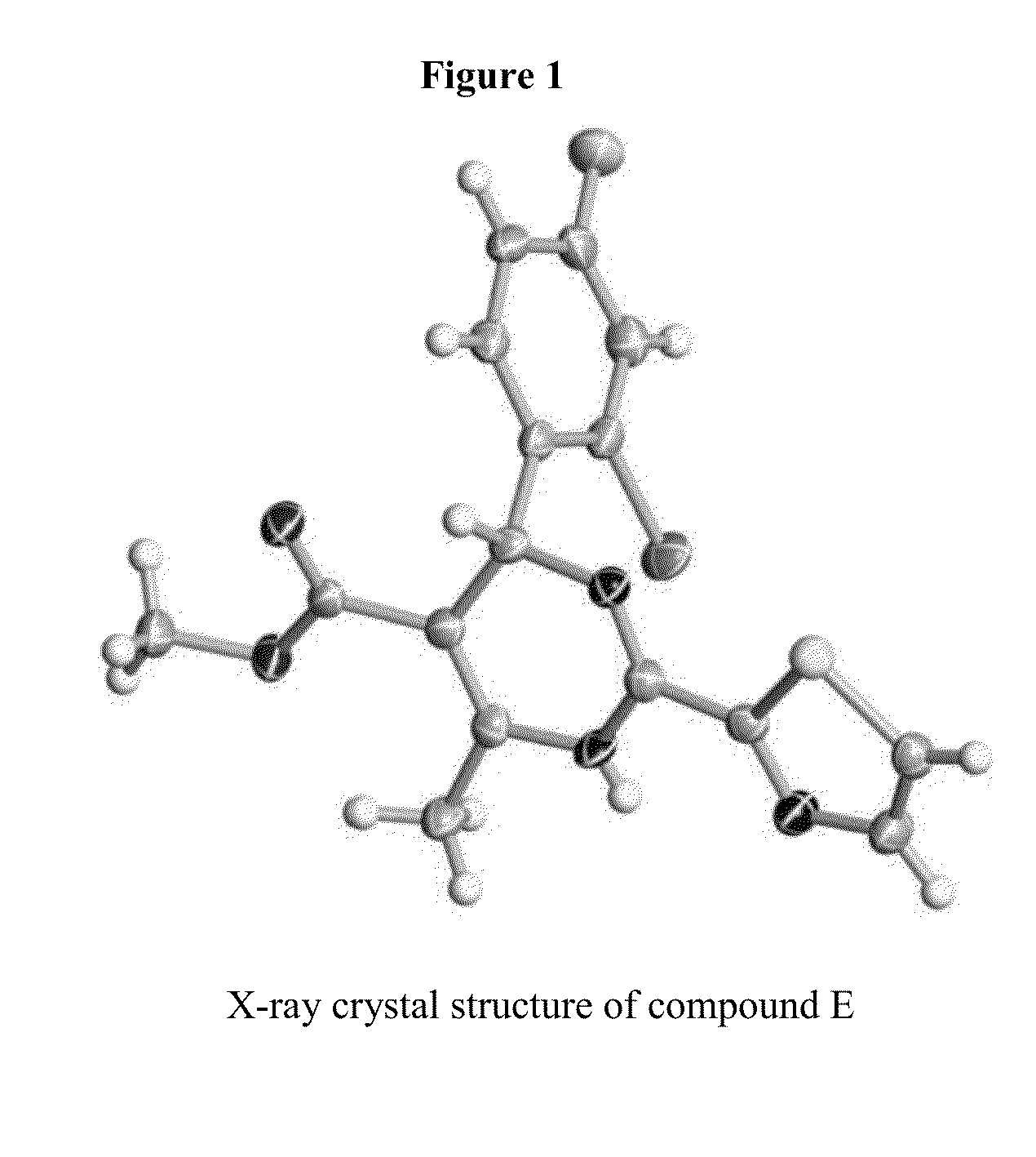 Novel 6-amino acid heteroaryldihydropyrimidines for the treatment and prophylaxis of hepatitis B virus infection