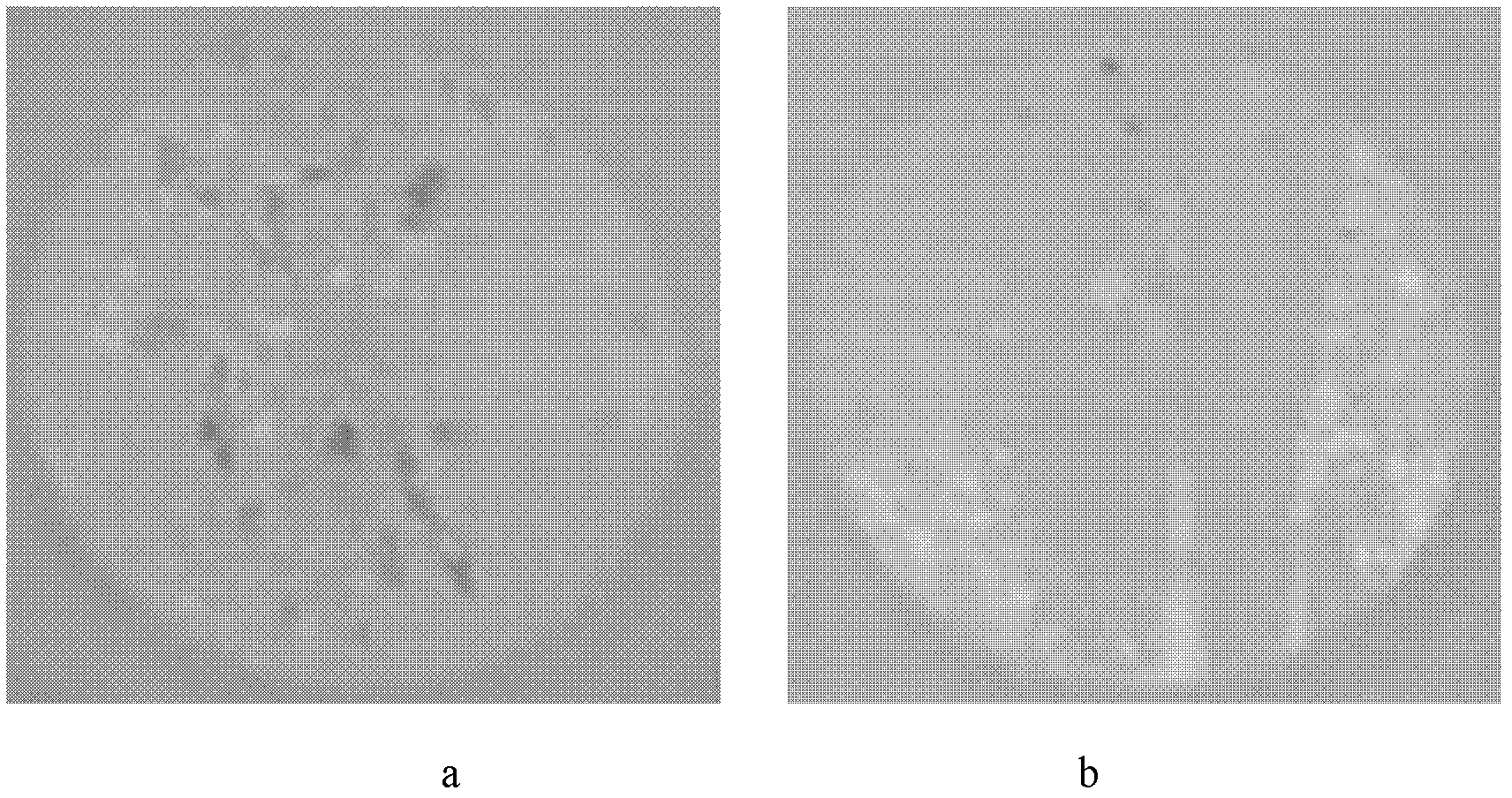 Preparation method for epoxy anticorrosive coating