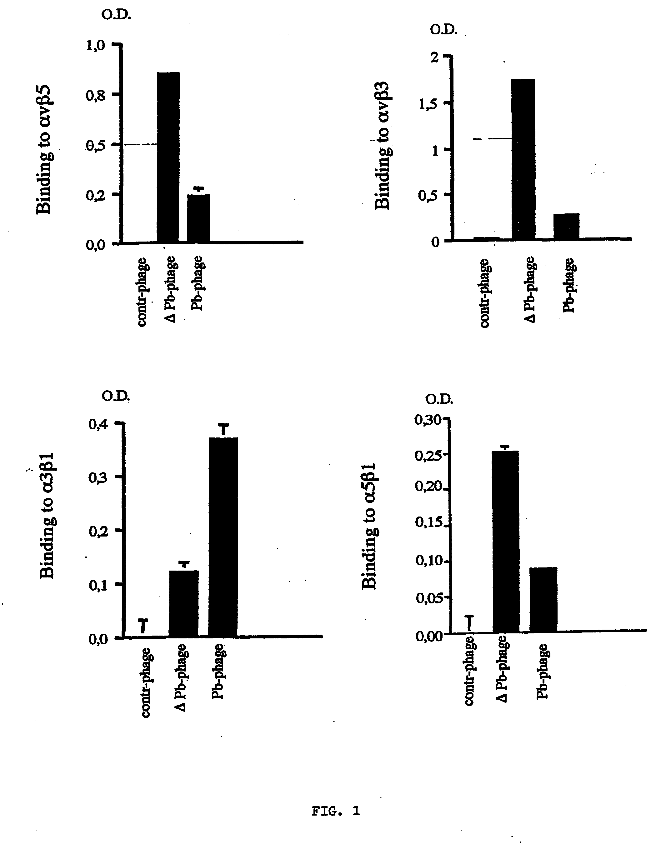 Chimeric vectors and their use for heterologous genes transfer