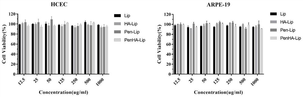 Ophthalmic liposome capable of penetrating cornea and targeting retina, preparation method and application thereof