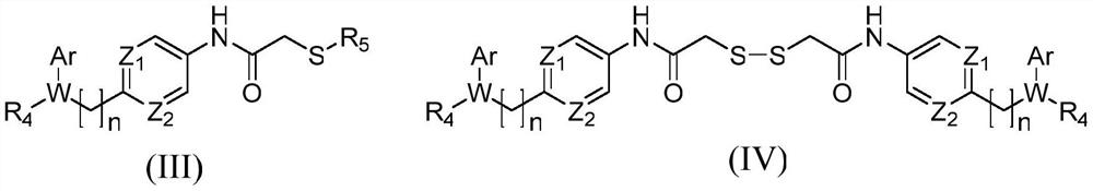 Histone deacetylase subtype inhibitor thioacetyl arylamine compound and application thereof