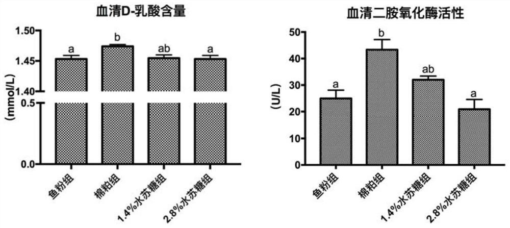 A synbiotic and feed for improving the intestinal health and immunity of turbot