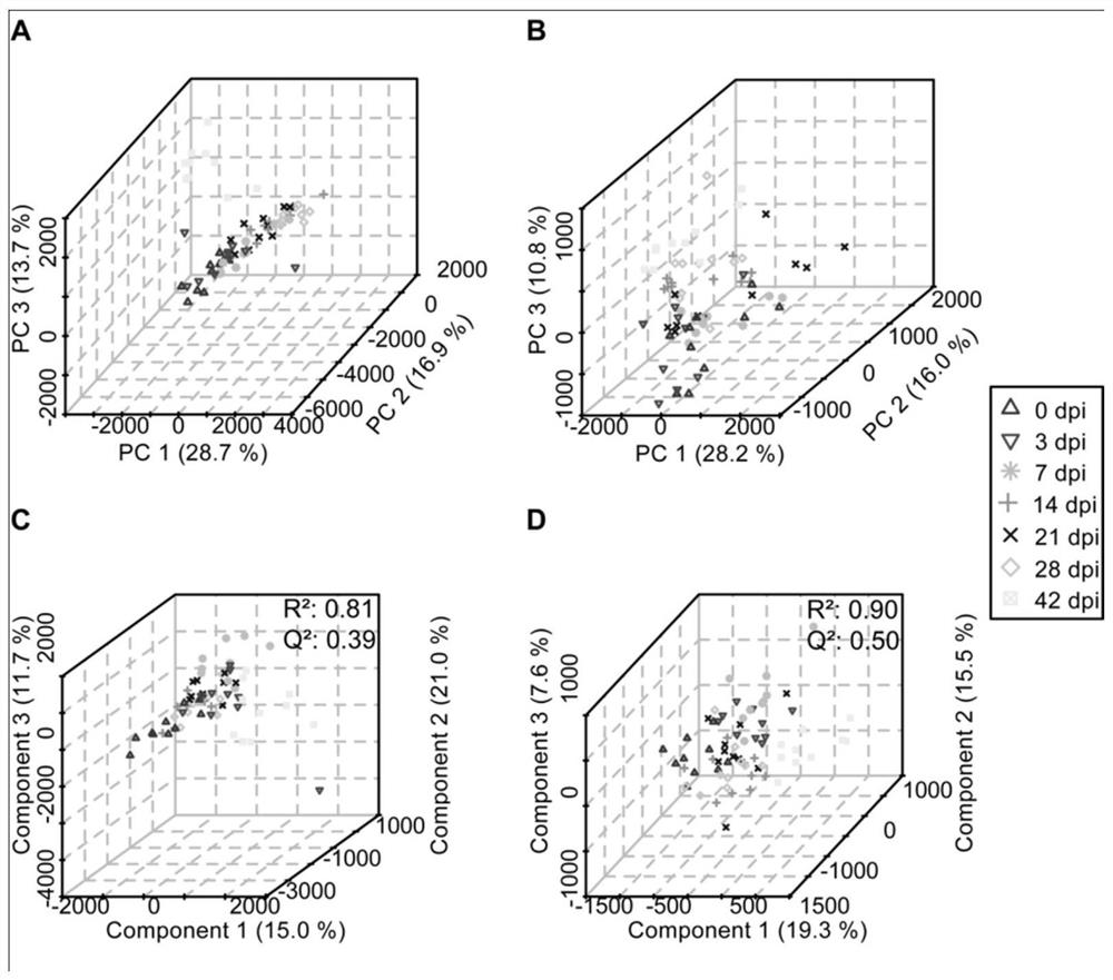 A serum biomarker, screening method and application for early diagnosis of schistosomiasis japonicum