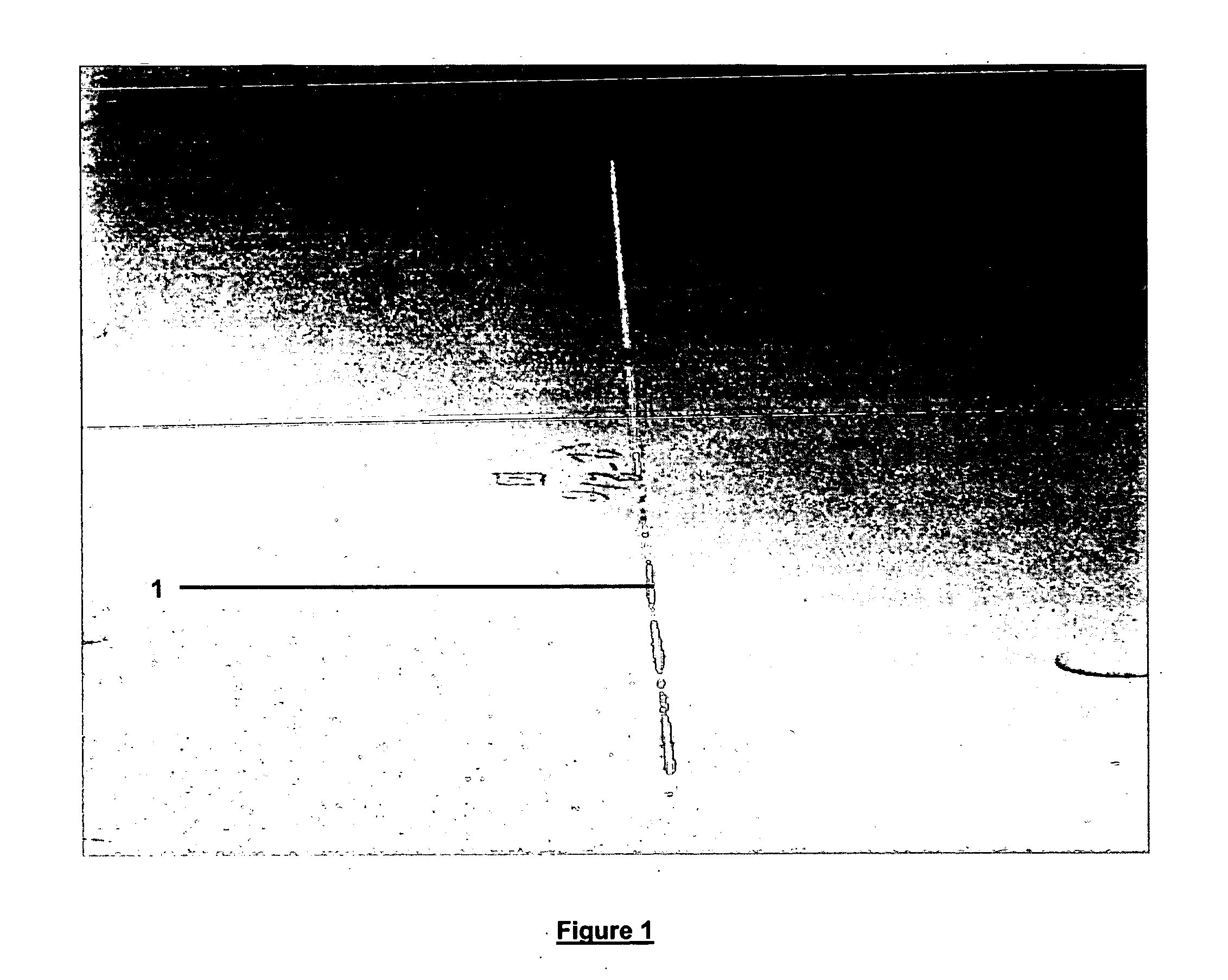 Article of manufacture and process for anodically coating aluminum and/or titanium with ceramic oxides