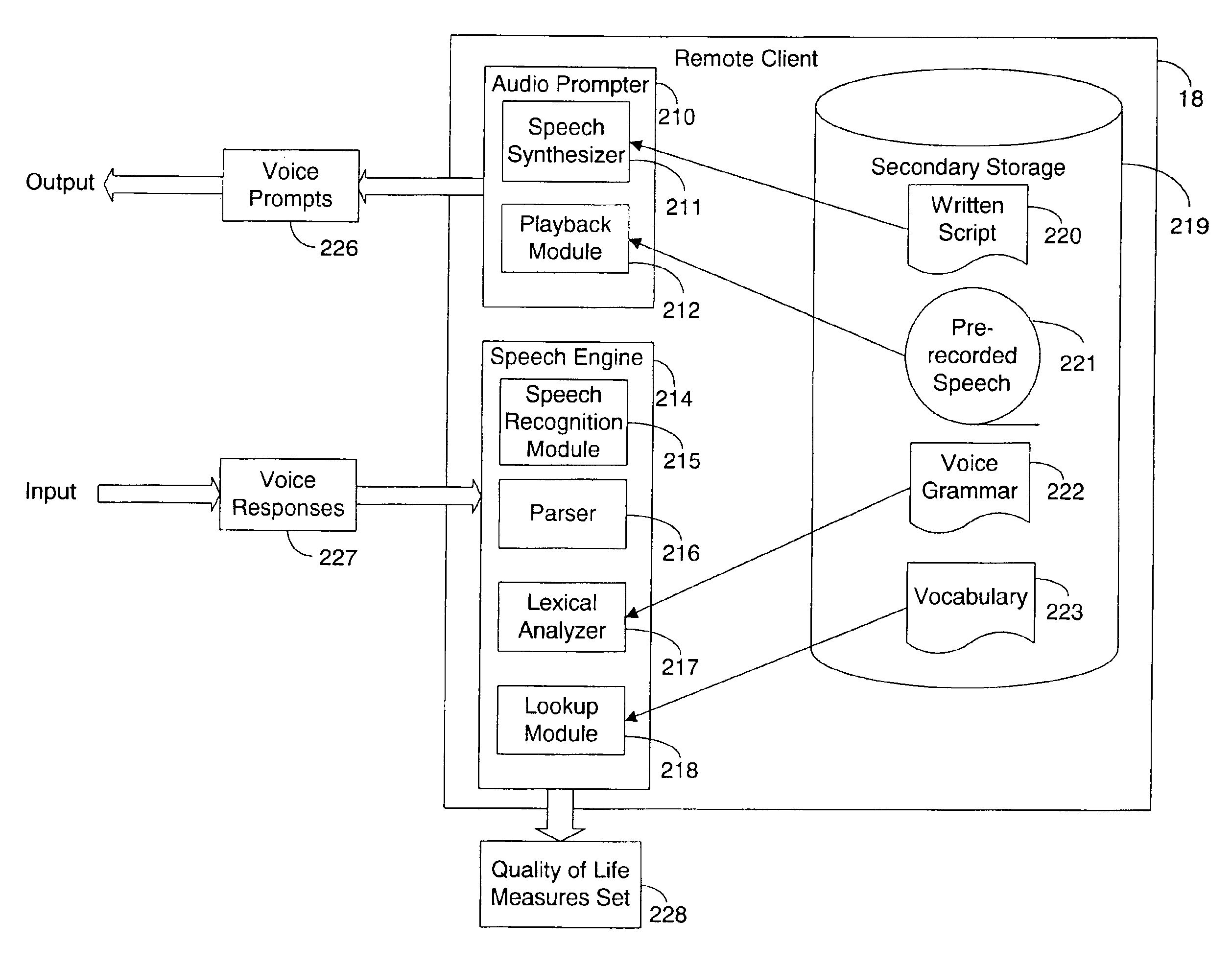 System and method for providing feedback to an individual patient for automated remote patient care