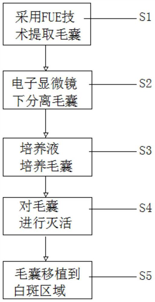 The technical method of hair follicle melanocyte stem cell transplantation in the treatment of vitiligo