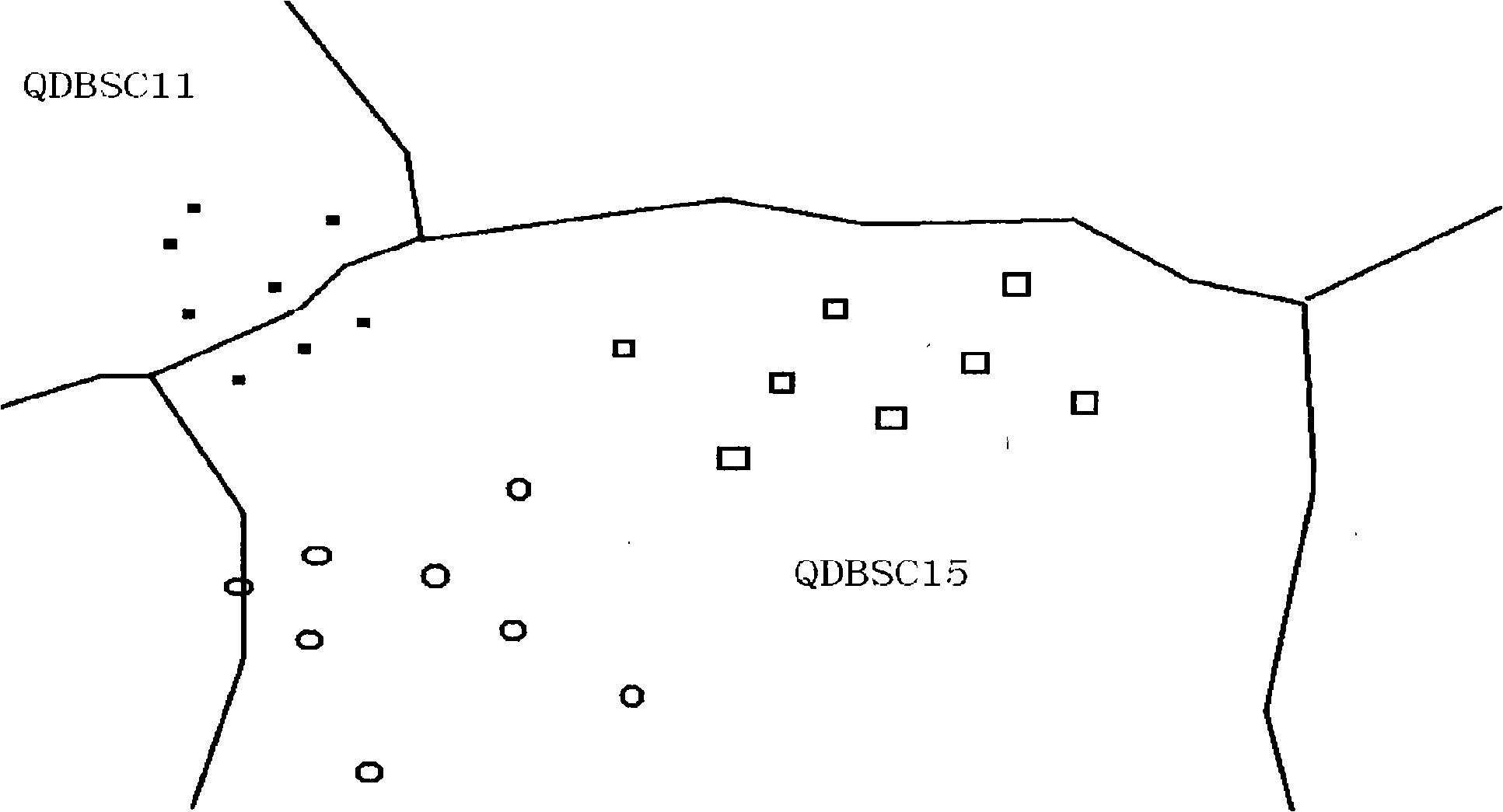 Method and system for network optimization and regulation through community cluster in communication network