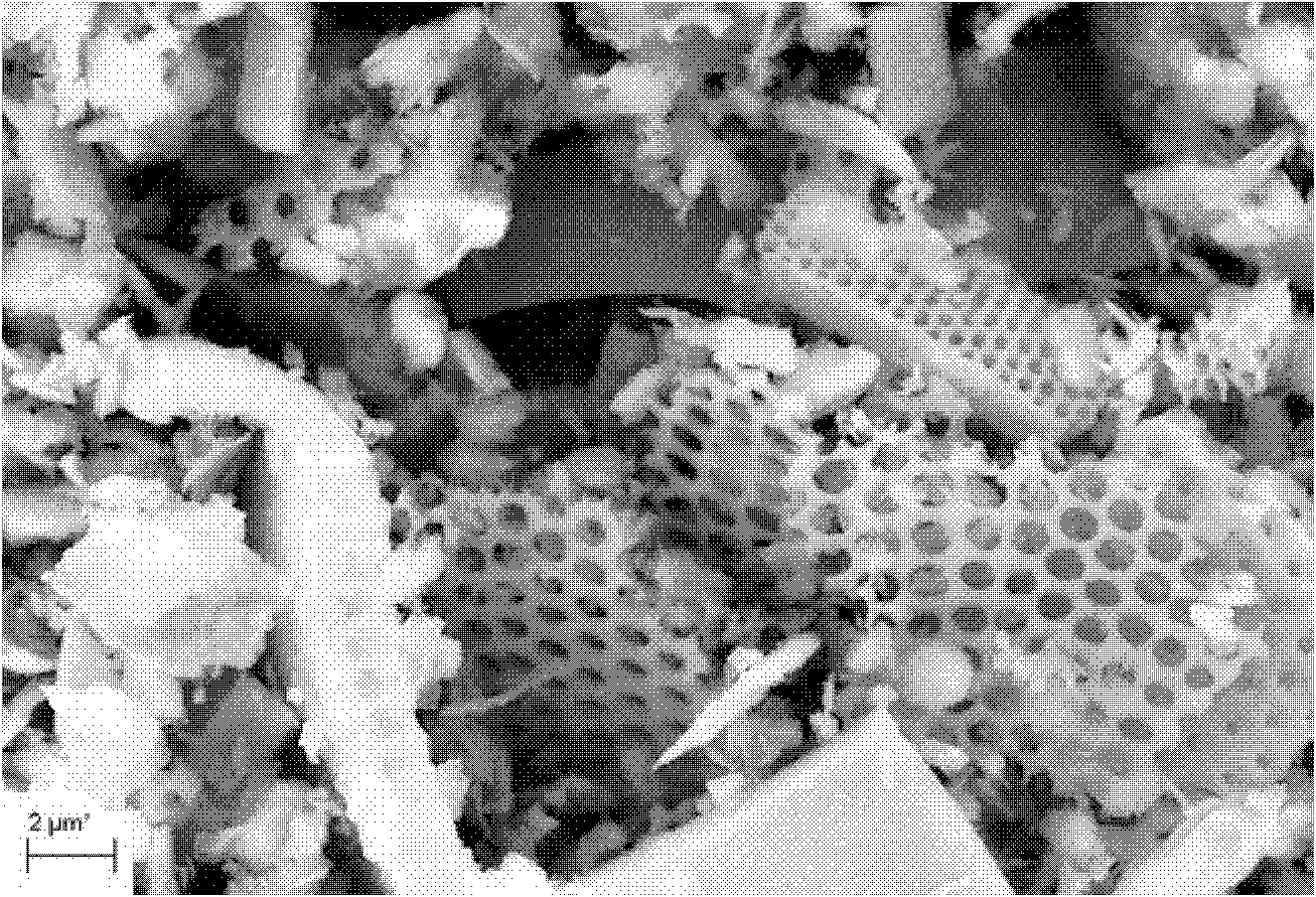 Method for preparing porous silicon/carbon composite material by using diatomite as raw material and application