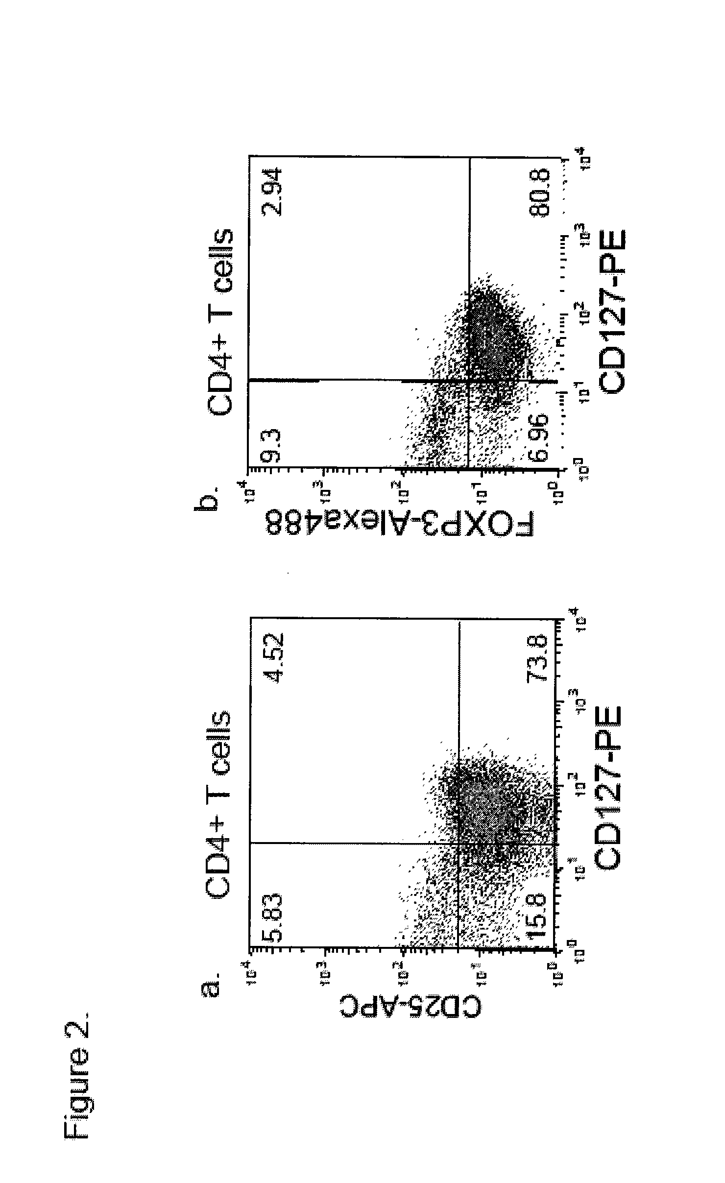 Cd127 expression inversely correlates with foxp3 and suppressive function of cd4+  tregs