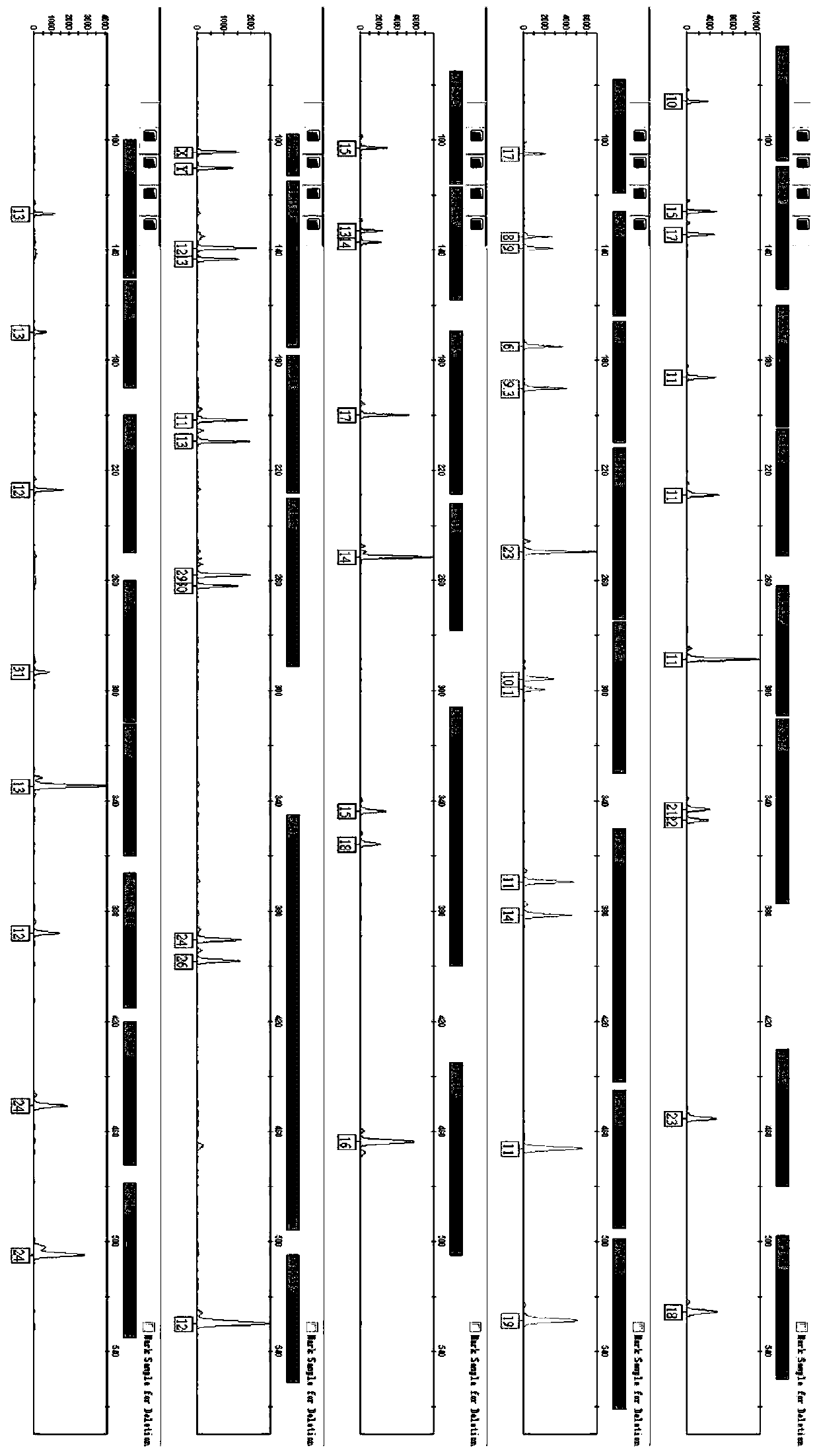 Multiplex amplification kit for simultaneously detecting autosome and Y chromosome STR loci