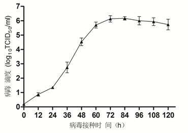 Cell culture method for duck flavivirus