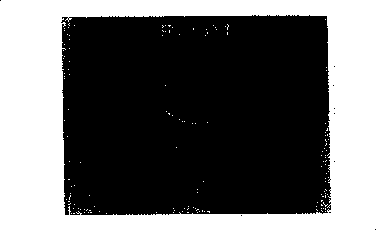 Method for focus plasma beam mending with precisivelly positioning