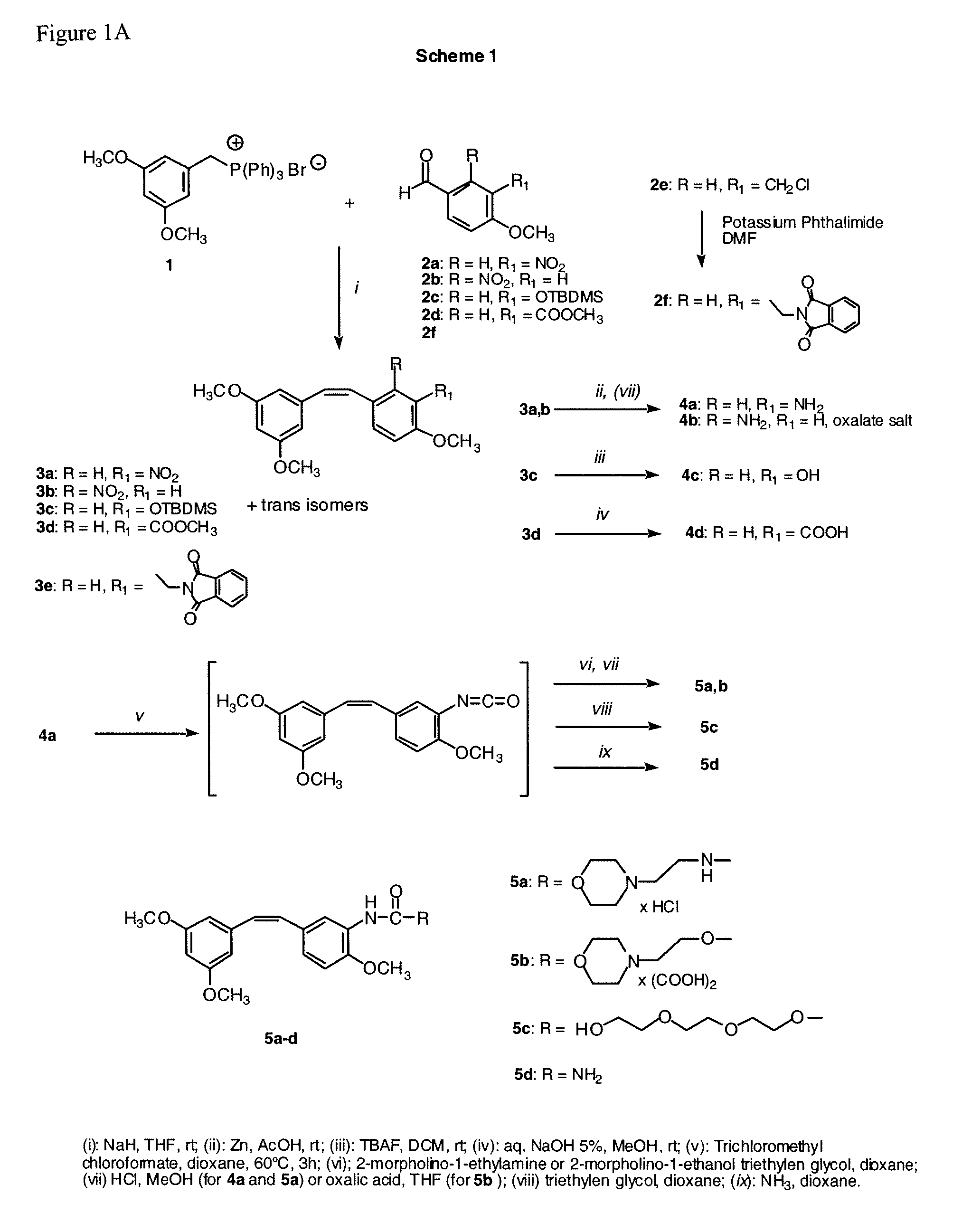 Stilbene derivatives as new cancer therapeutic agents