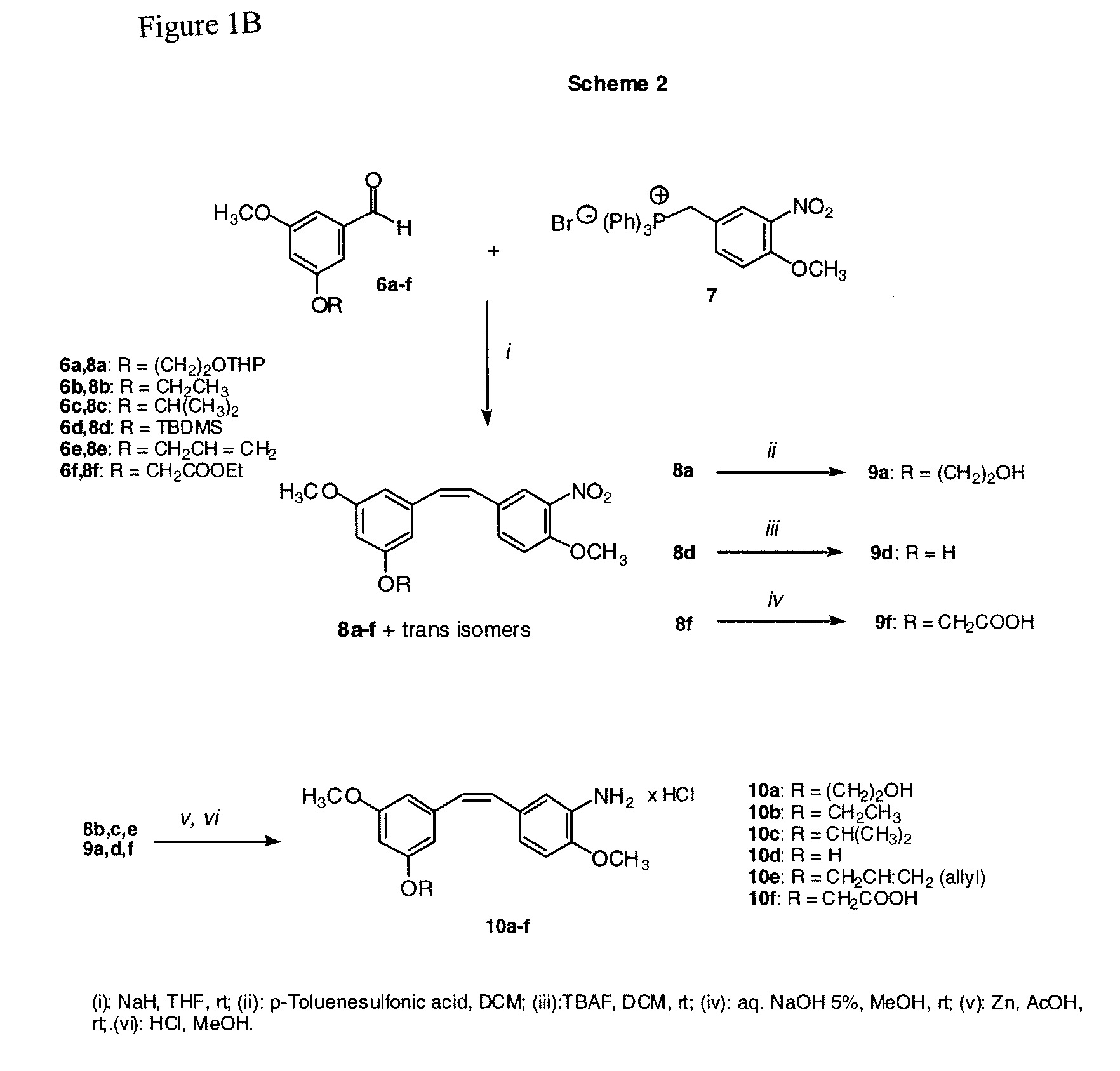 Stilbene derivatives as new cancer therapeutic agents