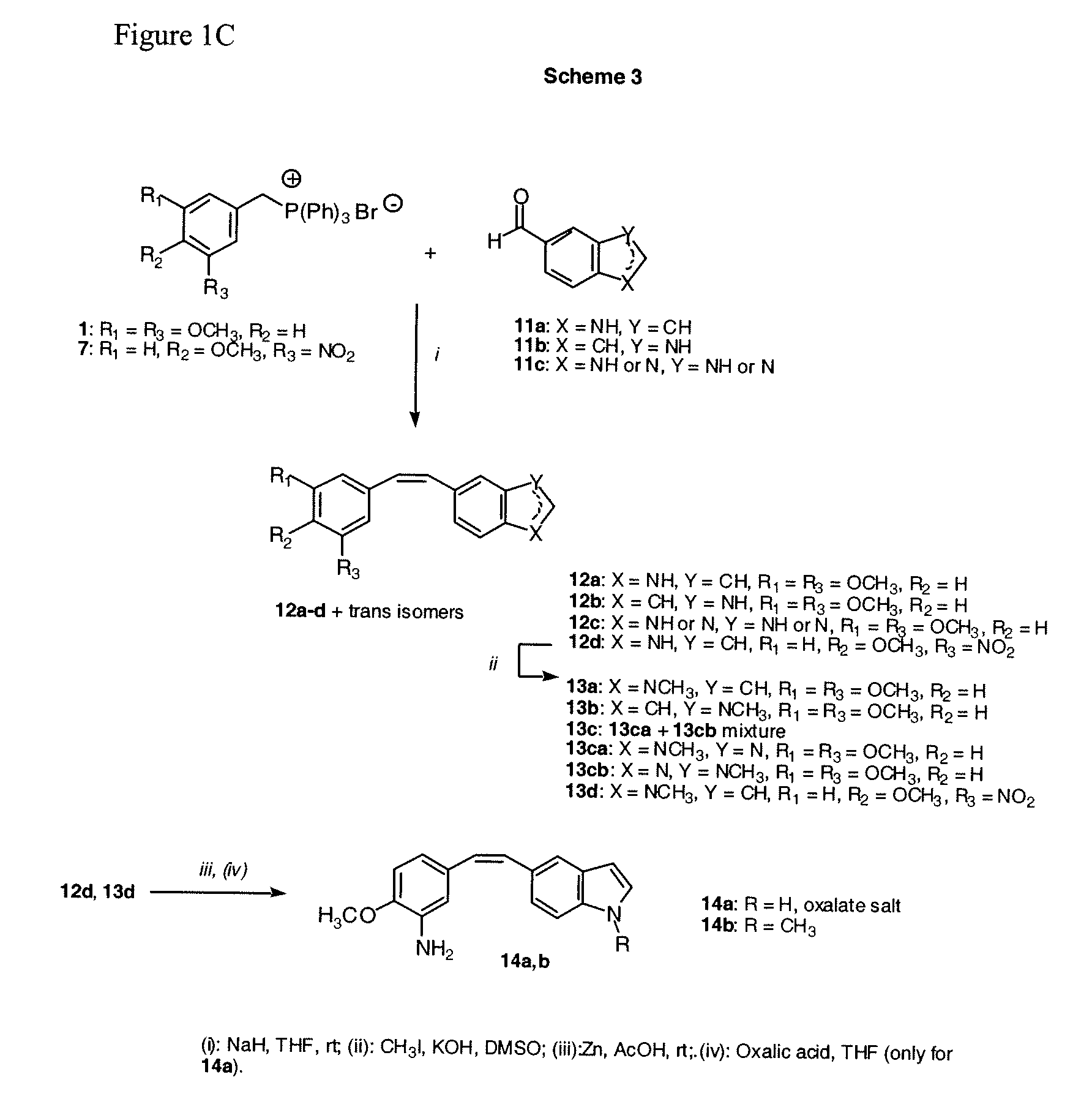 Stilbene derivatives as new cancer therapeutic agents