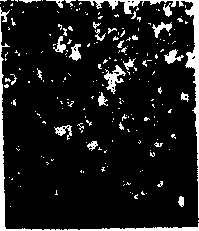 Molecular engram integrally separating column for gentamycin, streptomycin and neomycin and preparing process thereof