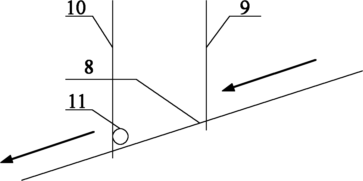 Stepping transferring and carrying system