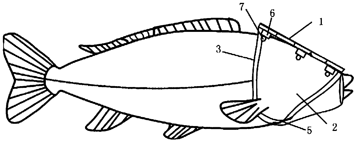 Photostimulation carrying device and photostimulation carrying method for motion control of carp robot