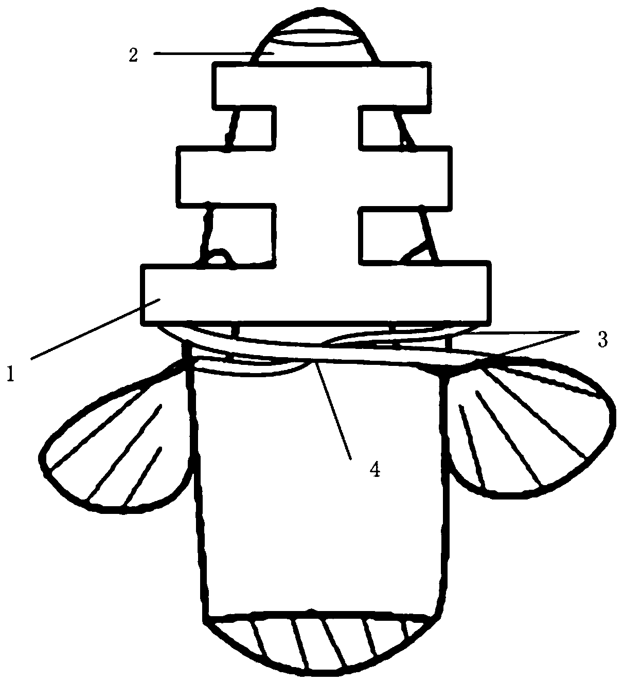 Photostimulation carrying device and photostimulation carrying method for motion control of carp robot