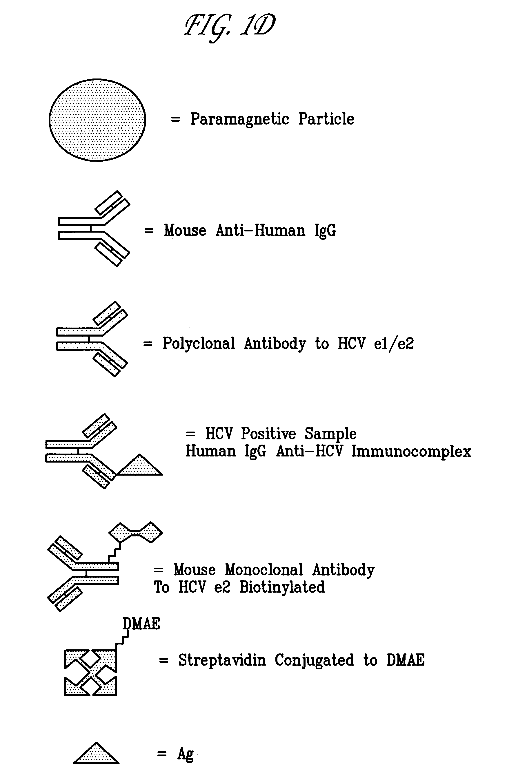 Hepatitis C viral antigen immunoassay detection systems