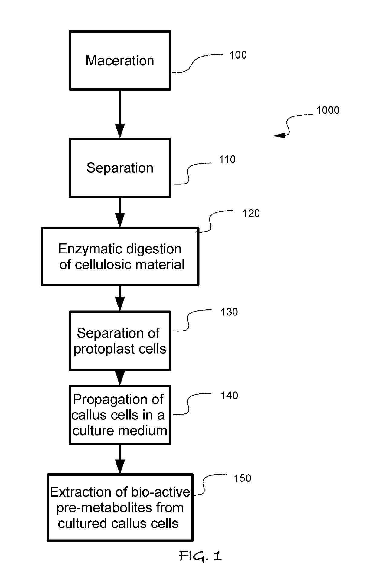 Plant activator composition