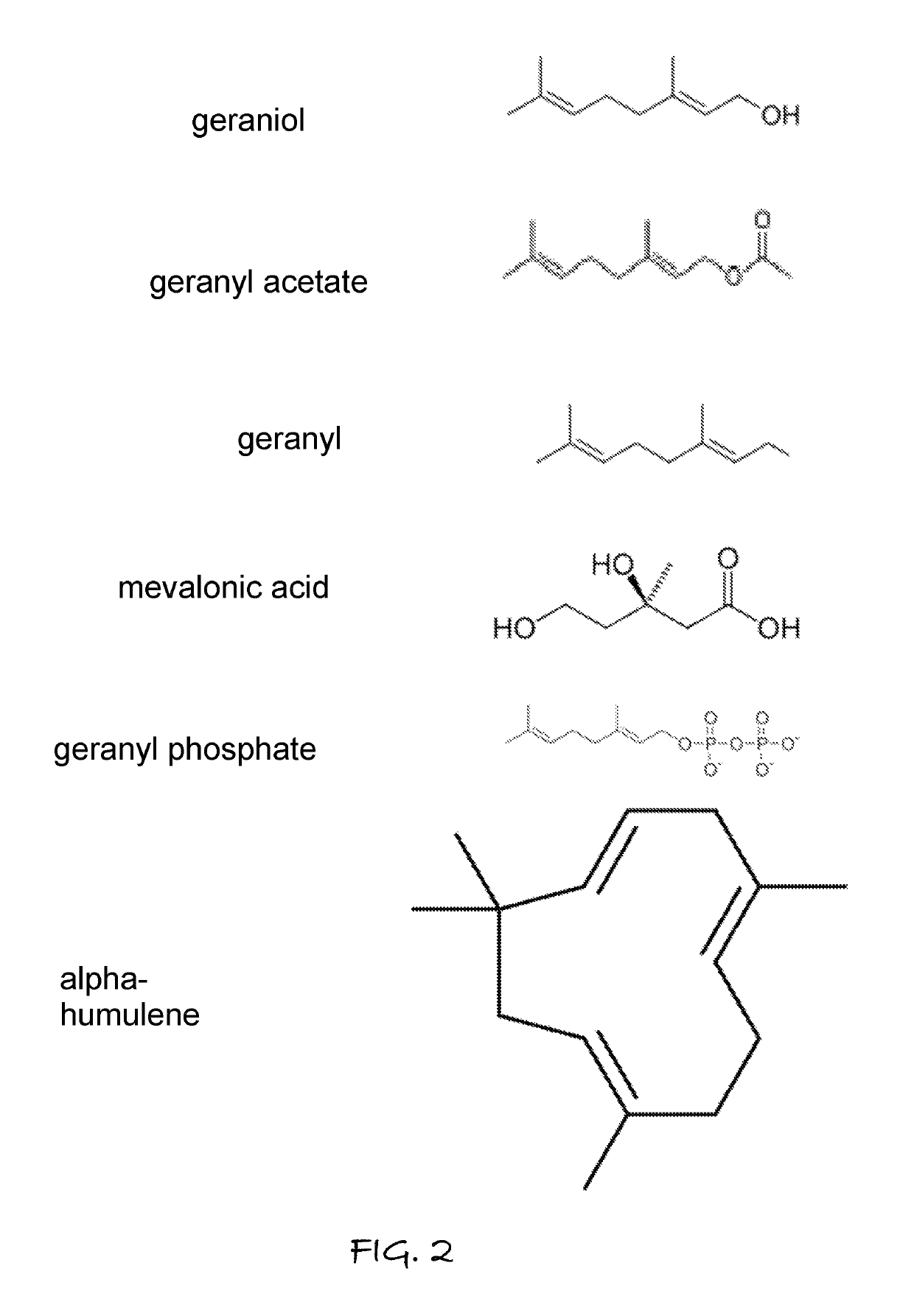 Plant activator composition