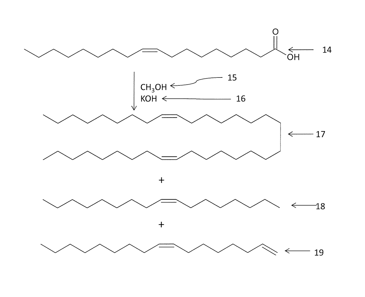 Production of hydrocarbons from plant oil and animal fat