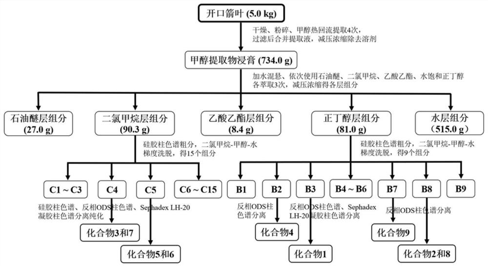 Steroid compound and preparation method and application thereof