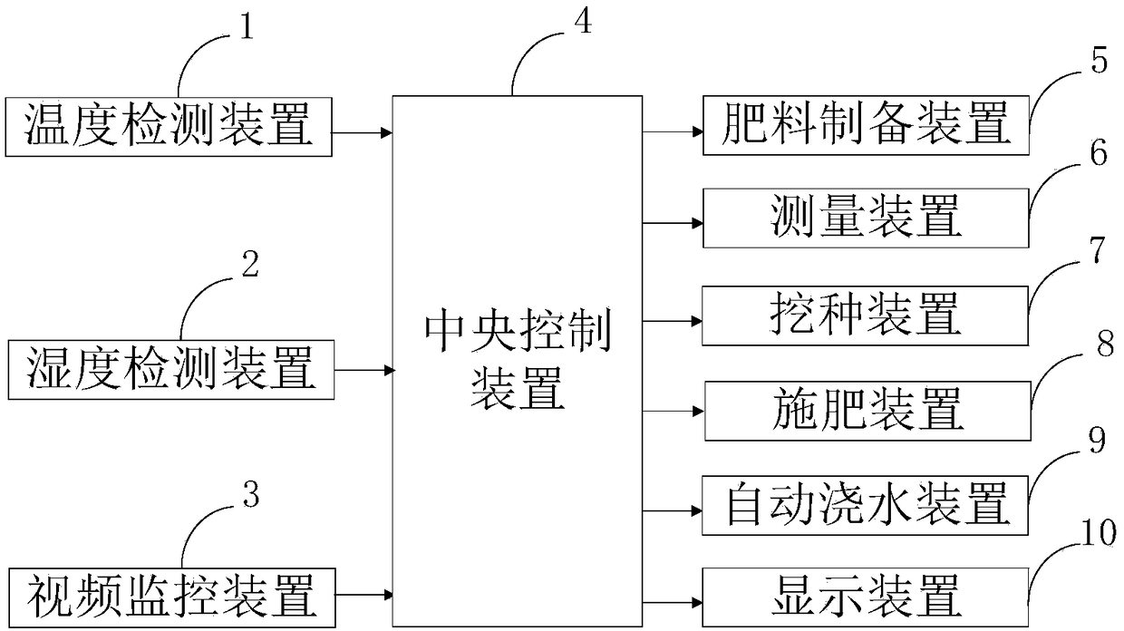 Planting method and planting device for interplanting of Camellia oleifera Abel. forests and Amorphophallus konjac