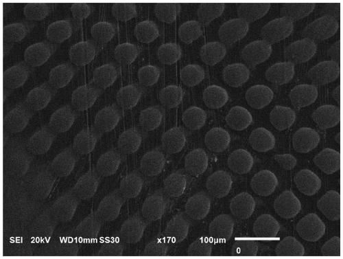 Preparation method for size-controllable amorphous carbon array