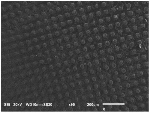 Preparation method for size-controllable amorphous carbon array