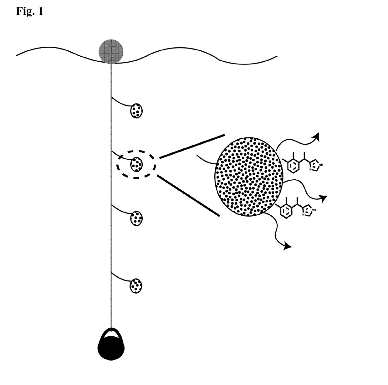 Medetomidine for use in controlling parasitic crustaceans on fish