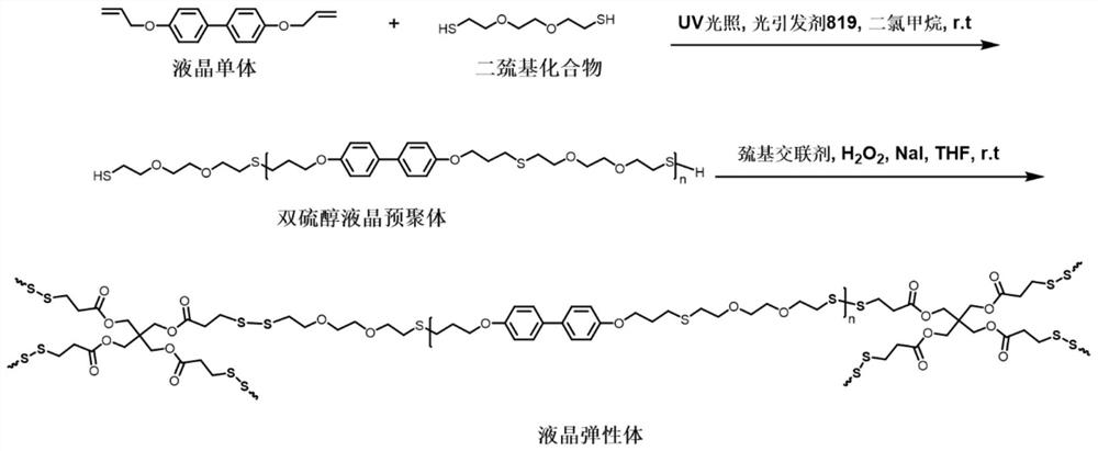 High-thermal-conductivity reconfigurable liquid crystal elastomer composite material, and preparation method and application thereof