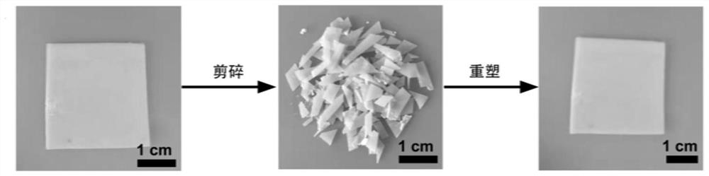 High-thermal-conductivity reconfigurable liquid crystal elastomer composite material, and preparation method and application thereof