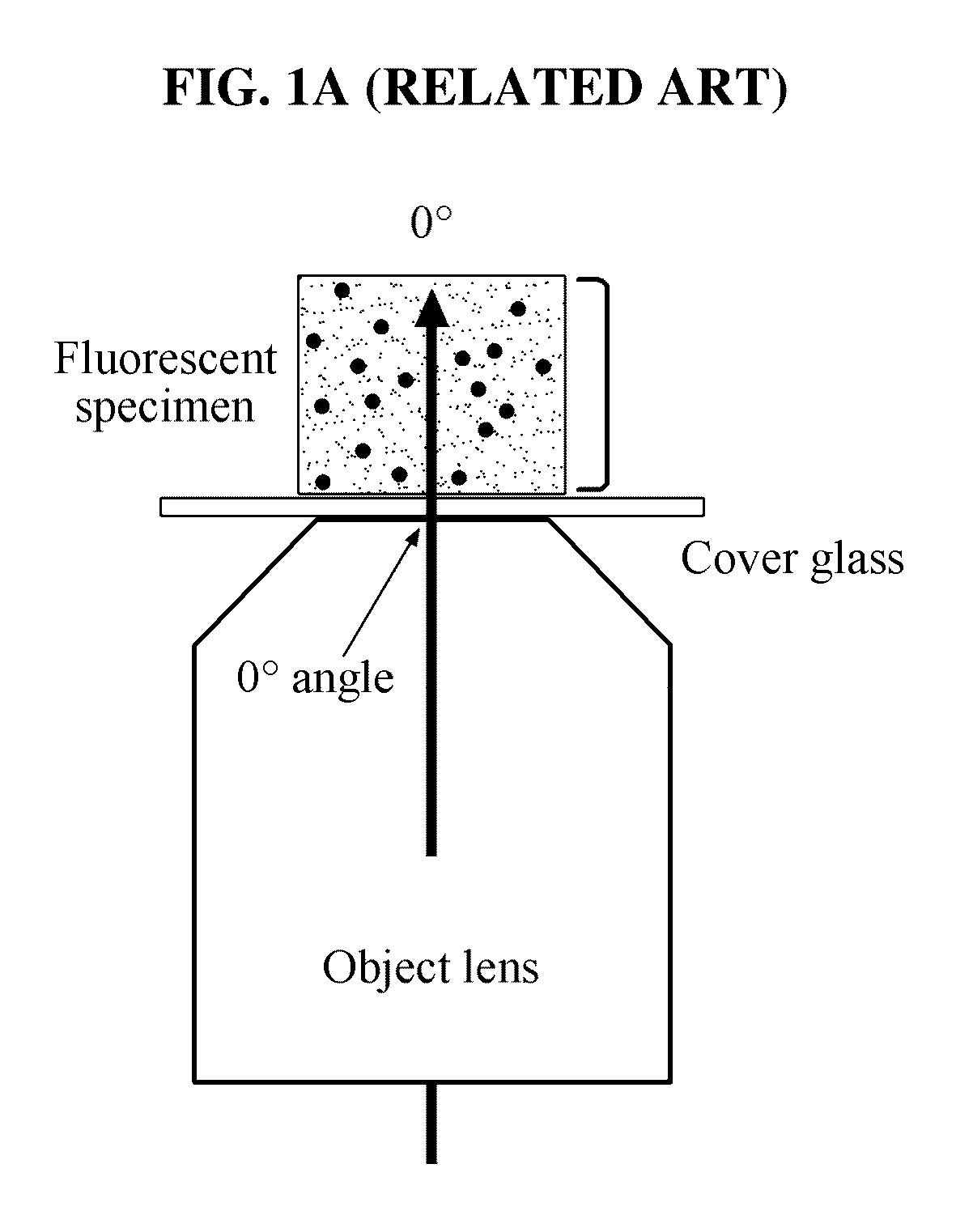 Total internal reflection fluorescence microscopy (TIRFM)