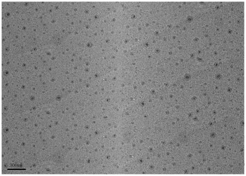 Silicon dioxide modified polypropylene antibacterial material and preparation method thereof