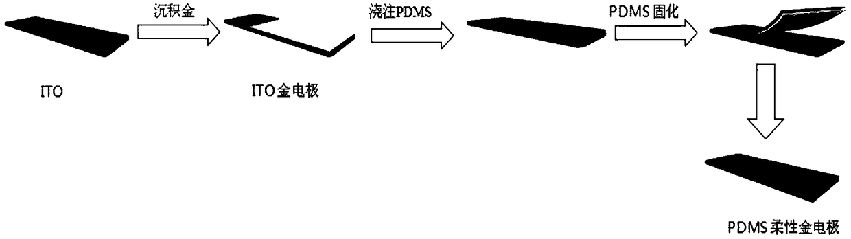 Flexible electrode based on flower-like nanogold structure and preparation method thereof