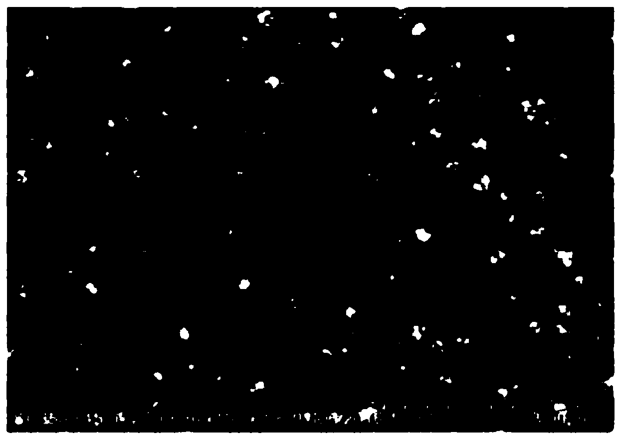 Flexible electrode based on flower-like nanogold structure and preparation method thereof