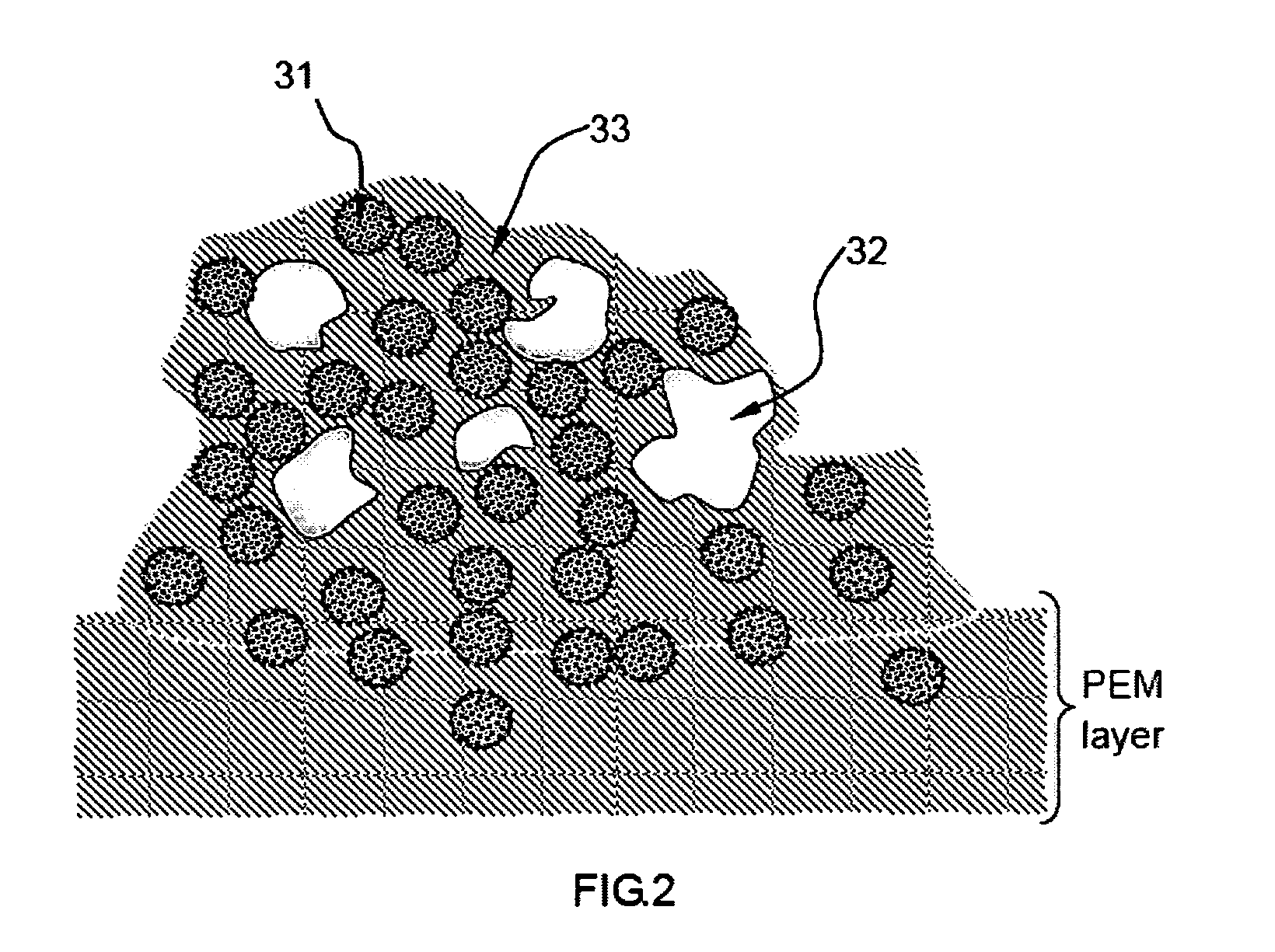 Process for producing fuel cell electrode, catalyst-coated membrane and membrane-electrode assembly