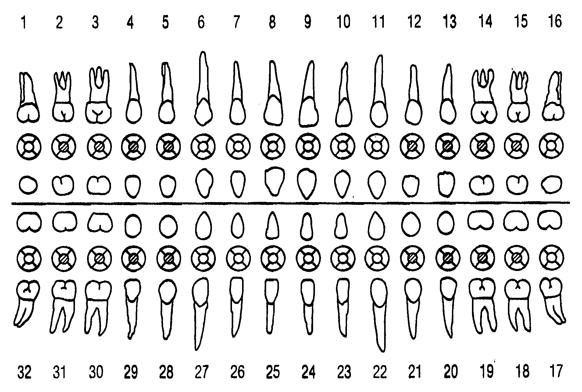 Method for producing a quantitative measure of dental health