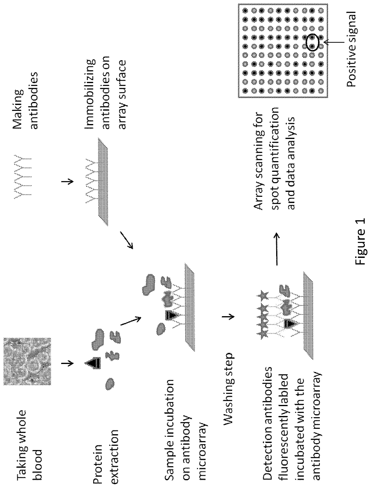 Blood unit tests kit