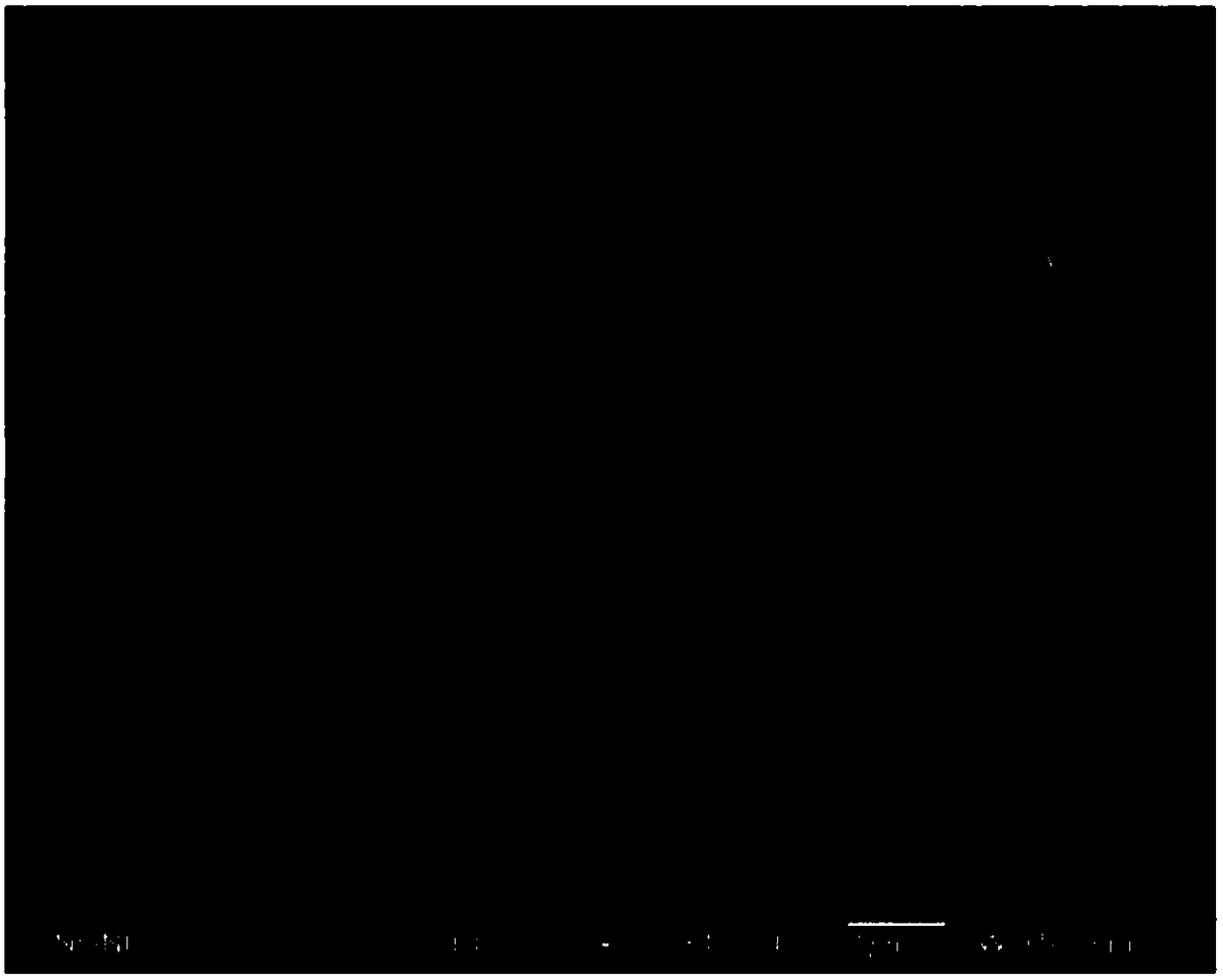 Polyacrylonitrile pre-oxidation processing device and method