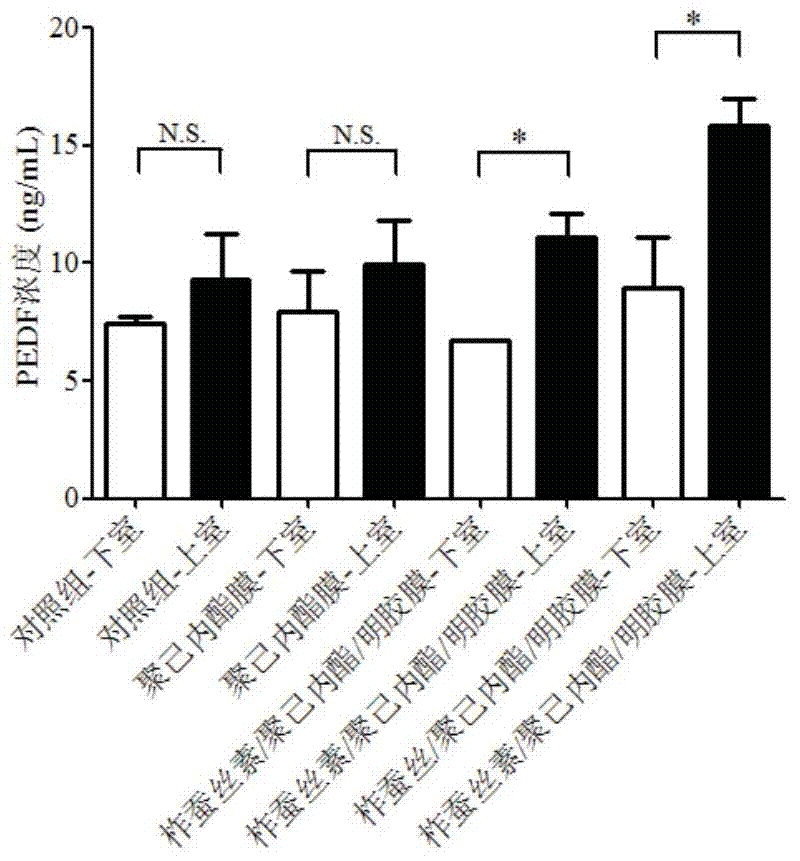 Preparation method of functionalized retinal pigment epithelial cell graft