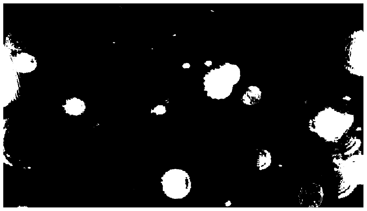 Light filament induced micro-nano bubble generation device