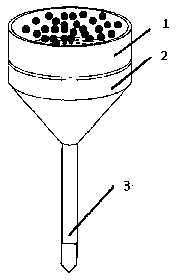 In-situ enzymolysis-direct mass spectrometry analysis system and analysis method